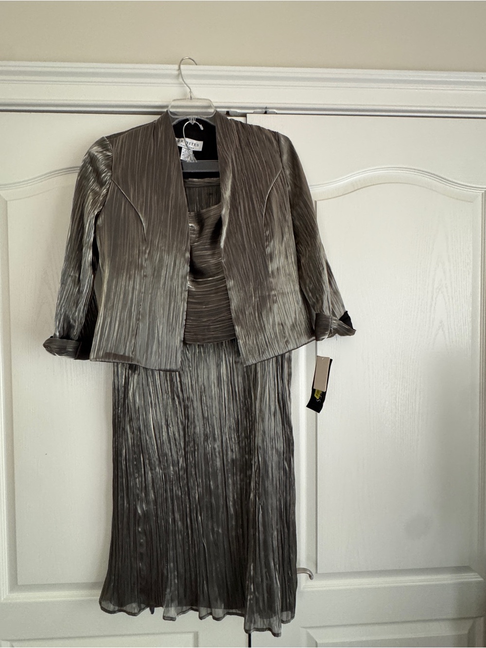 Pleated Metallic Taupe Skirt Set
